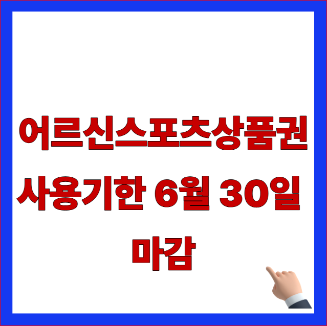 2026년 어르신스포츠상품권 비플페이 등록 방법 및 가맹점 사용처 안내