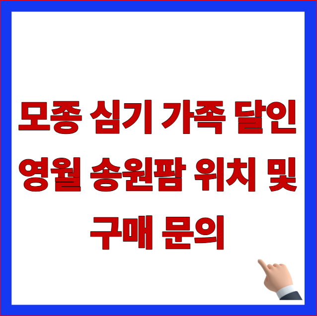 모종 심기 가족 달인 영월 송원팜 위치 및 구매 문의 안내 이미지