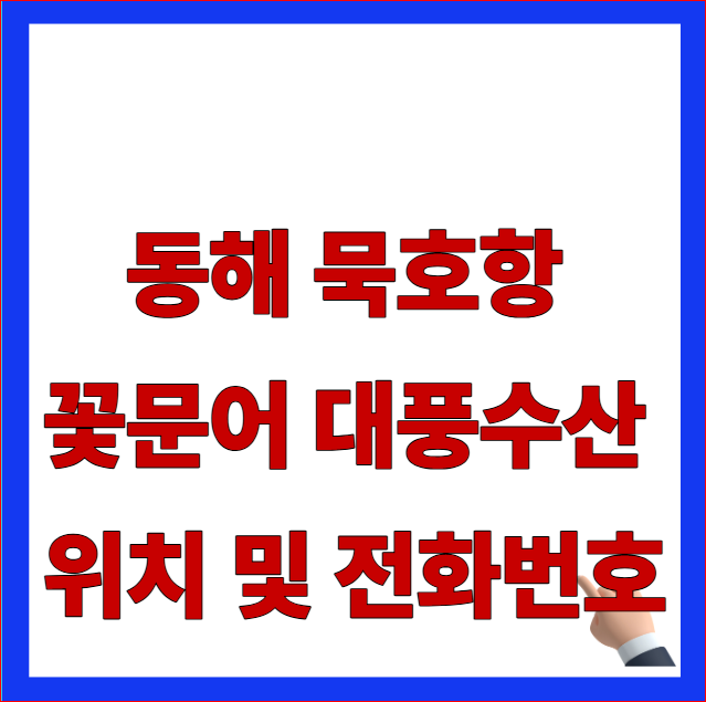 한국기행 동해 묵호항 꽃문어 대풍수산 위치 및 전화번호 택배 주문 안내 이미지