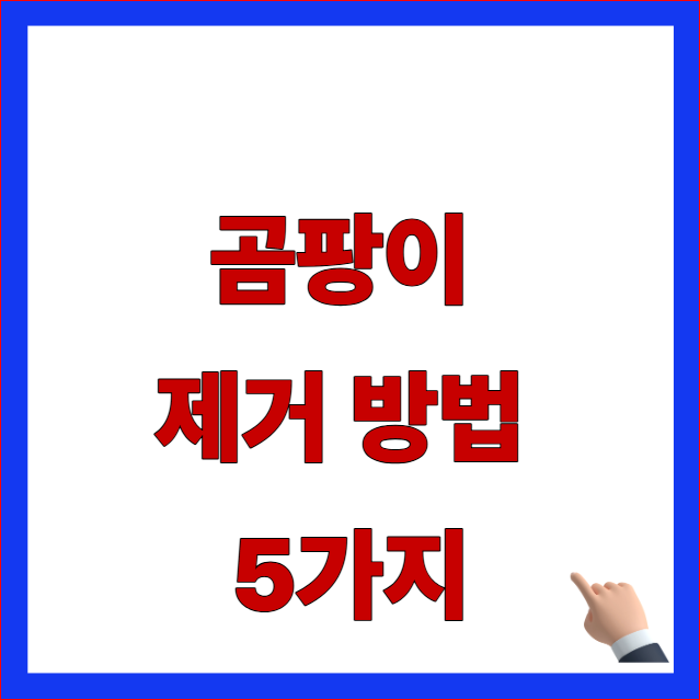 곰팡이 제거 방법 5가지 벽지 욕실 베란다 원인별 완전 박멸 가이드 이미지