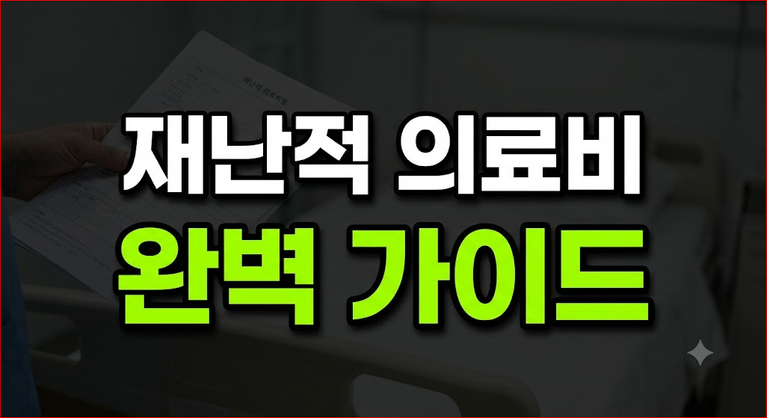 재난적 의료비 지원사업