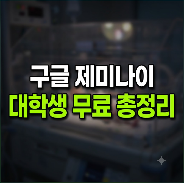 구글 제미나이 대학생 무료