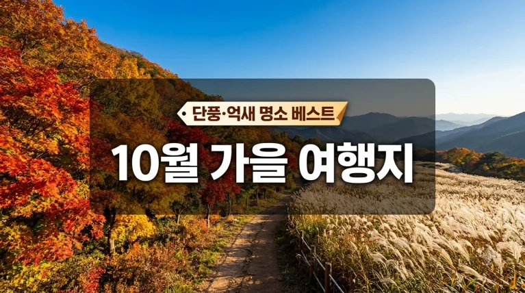 가을 관광 명소 단풍과 억새 10월 여행지 추천